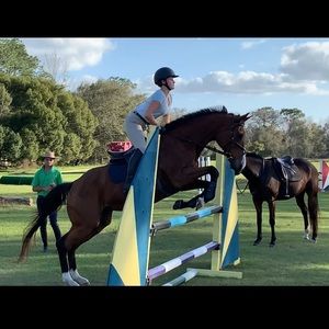 Meet your Posher, Ashlynn